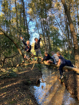 Sint-Martinus den XIIde - september-oktober